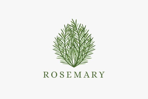 Download Fresh Green Rosemary Logo Vector - Premium Bundle
